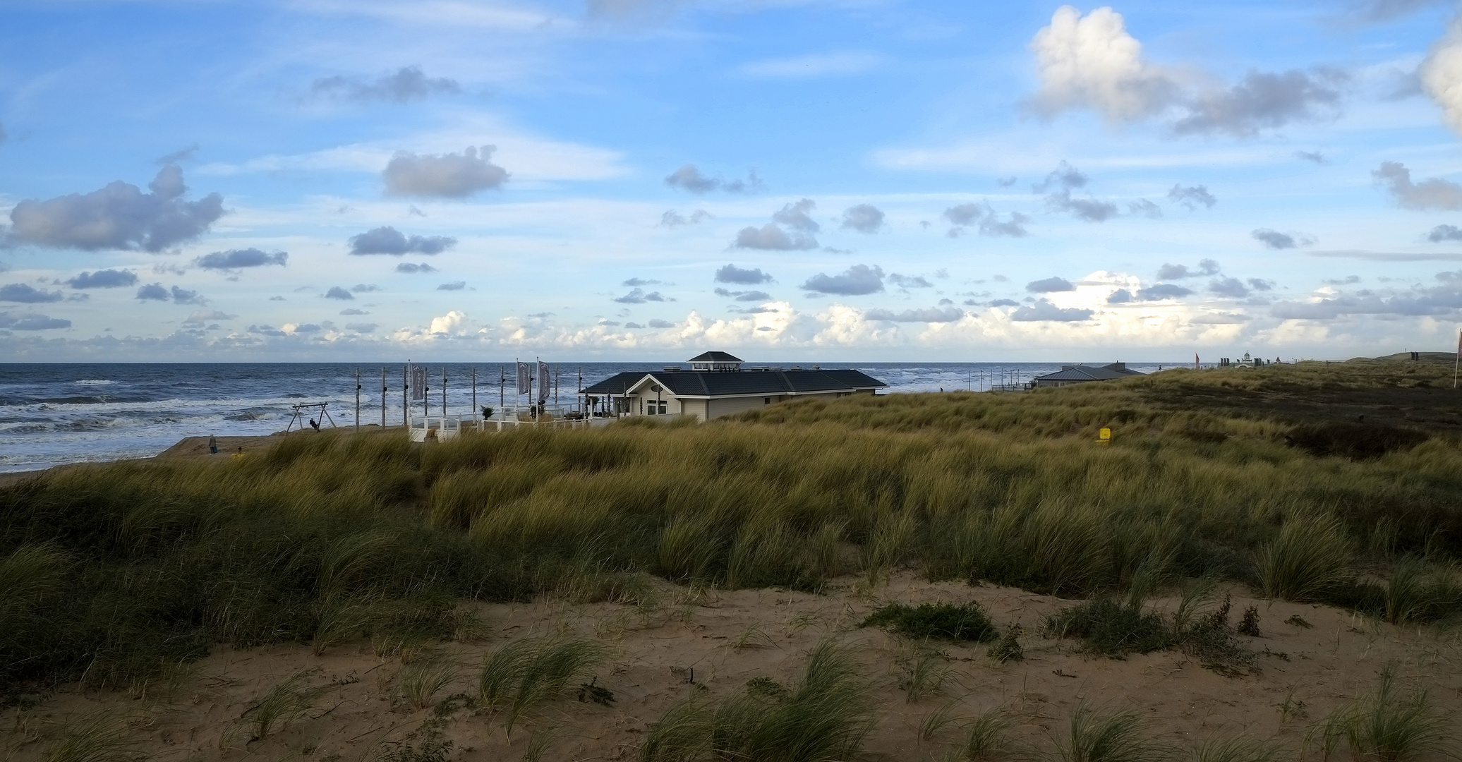 Dünen in Noordwijk