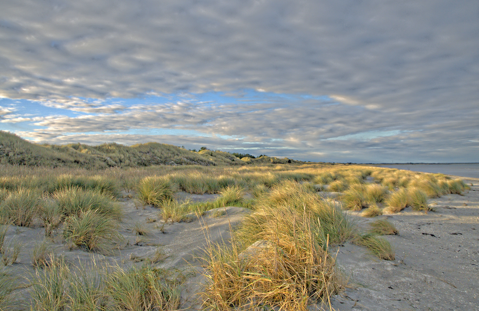 Dünen in Norddänemark im Oktober 15