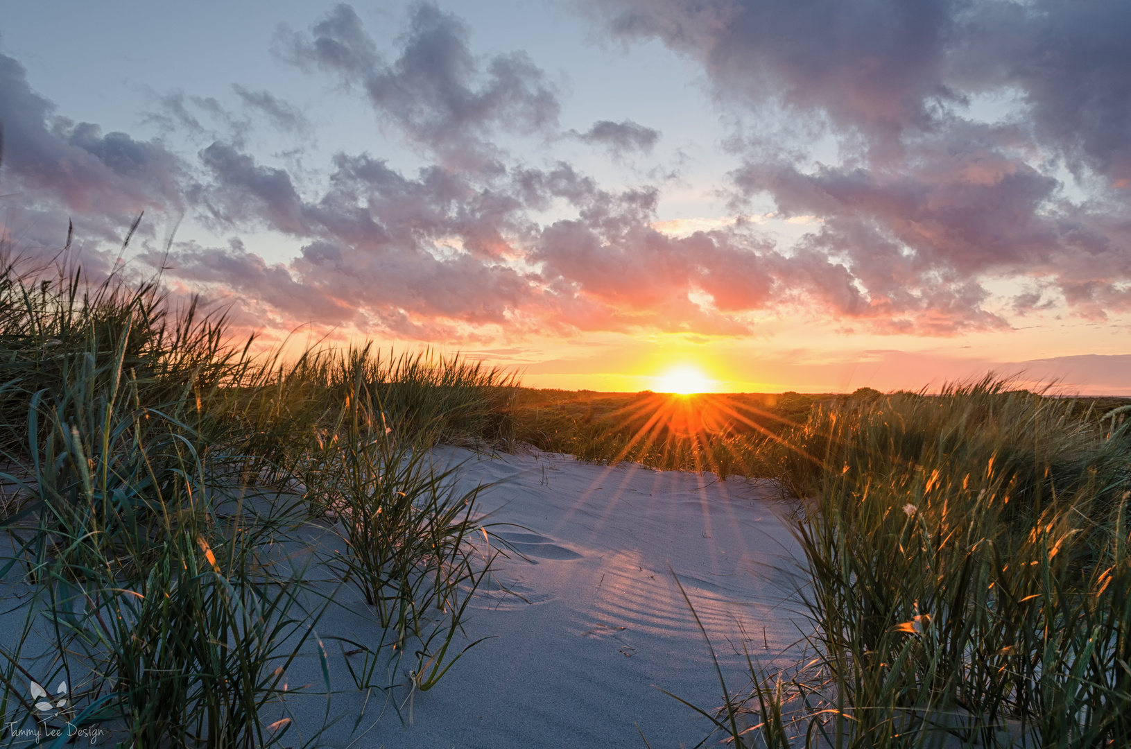 Dünen in Skagen