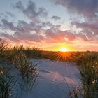 Dünen in Skagen