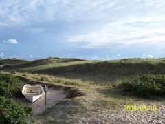 Dünen in Sylt