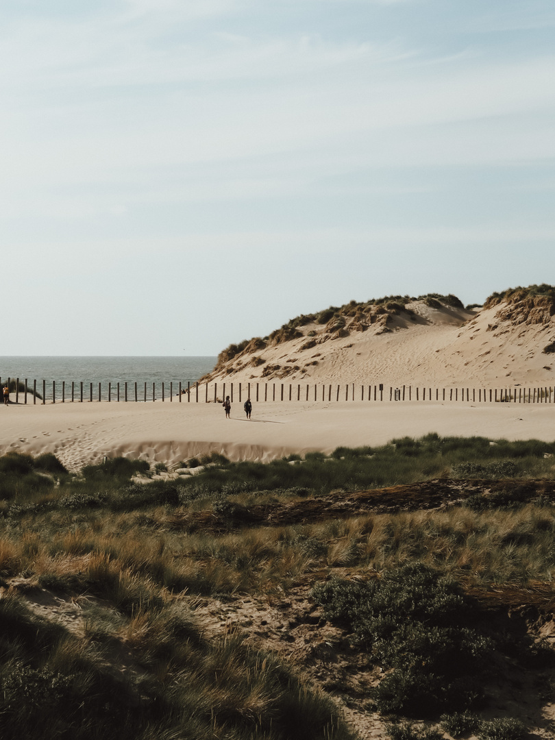 Dünen in Zandvoort