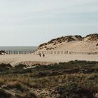 Dünen in Zandvoort