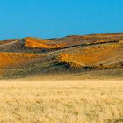 Dünen-Landschaft