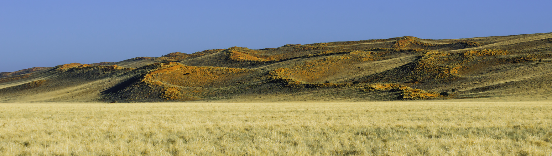 Dünen-Landschaft