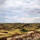 Dünen-Landschaft