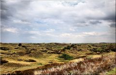 Dünen-Landschaft