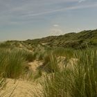 Dünen Landschaft in Belgien