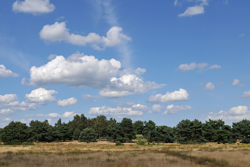 Dünen – Licht