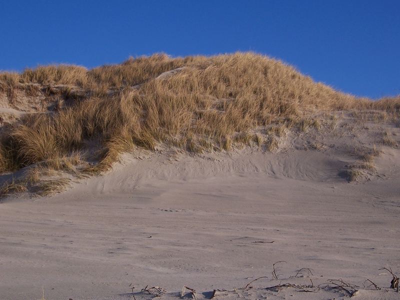 Dünen lügen nicht