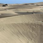 Dünen Maspalomas