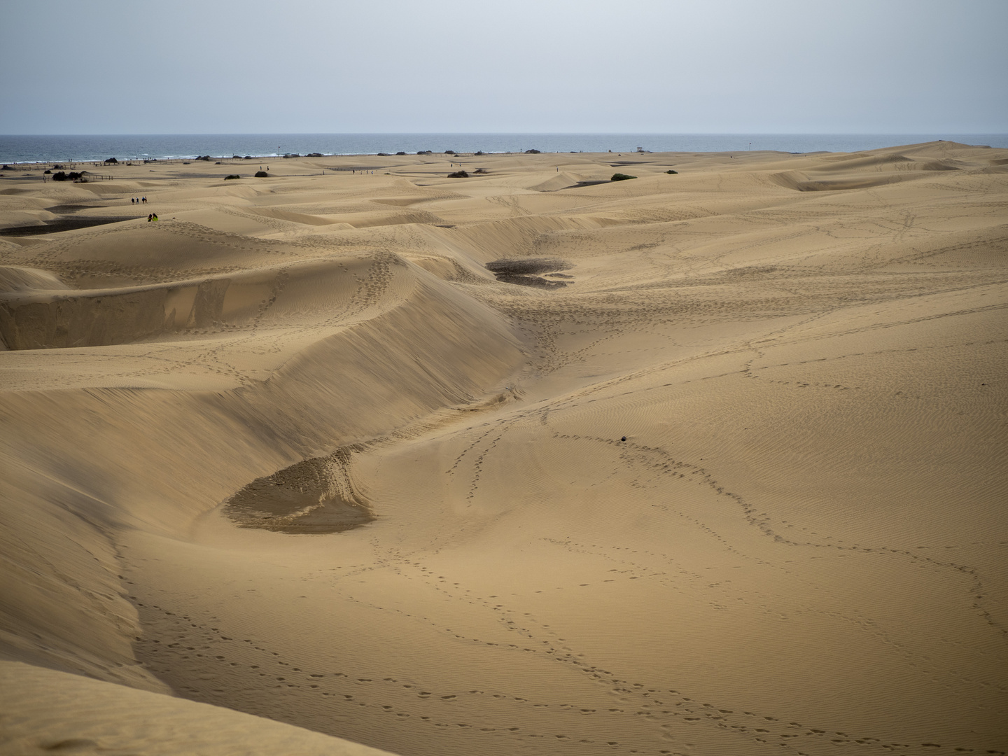 Dünen Maspalomas