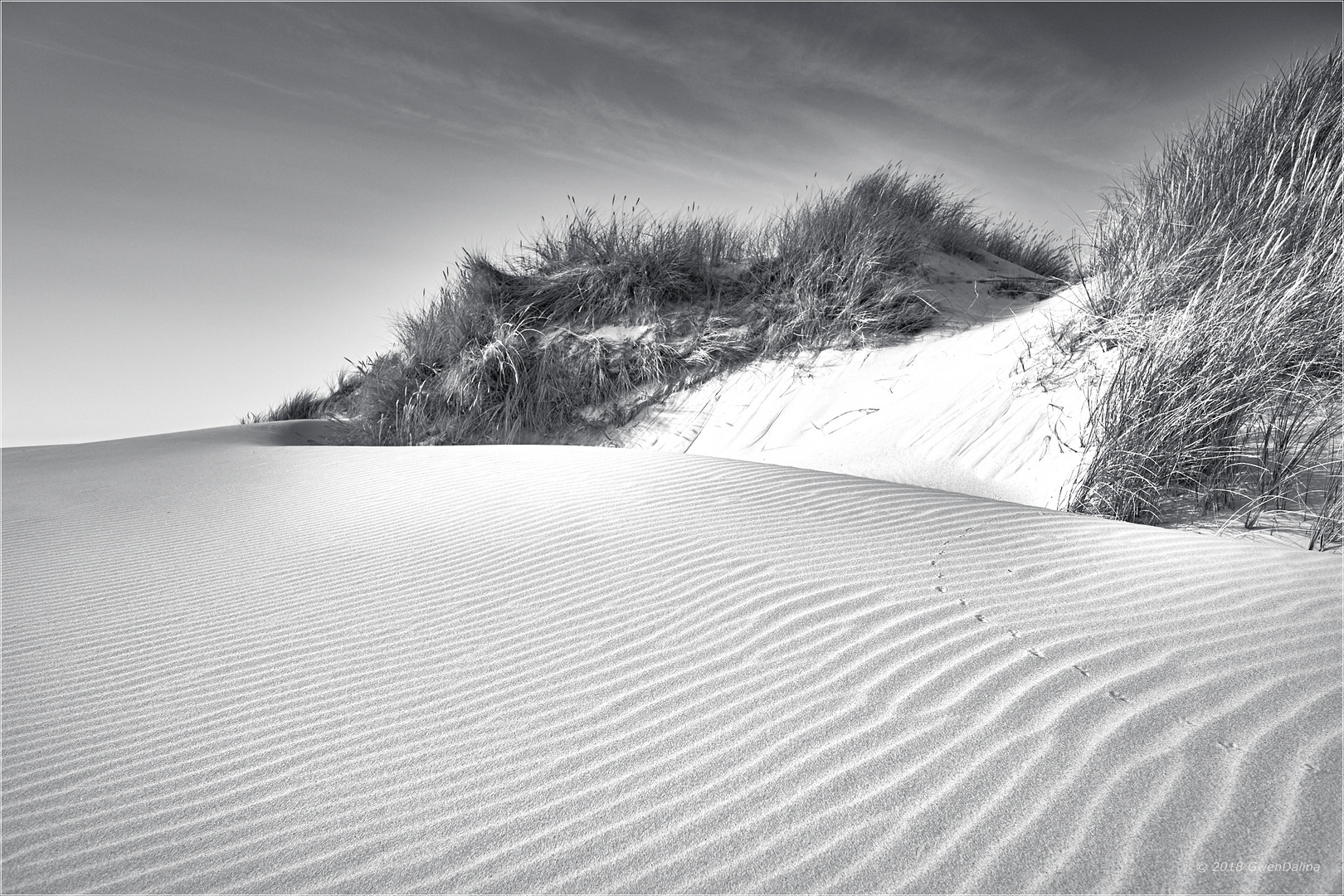 ::: Dünen | Meer :::