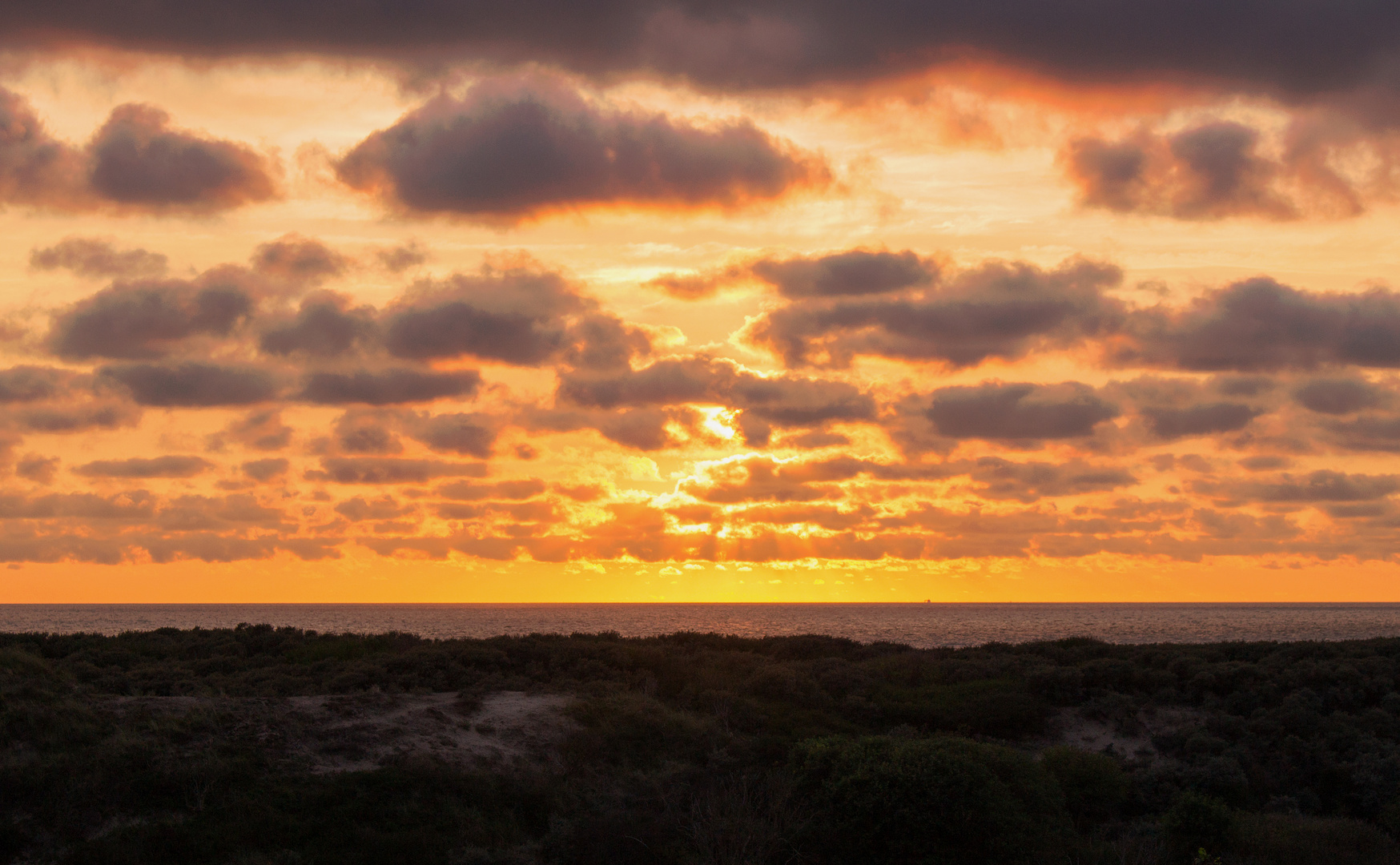 Dünen, Meer und Himmel in Noordwijk