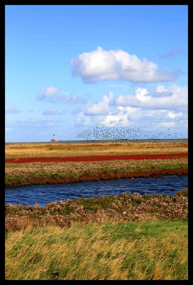 Dünen mit schönen Ausblick