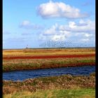 Dünen mit schönen Ausblick