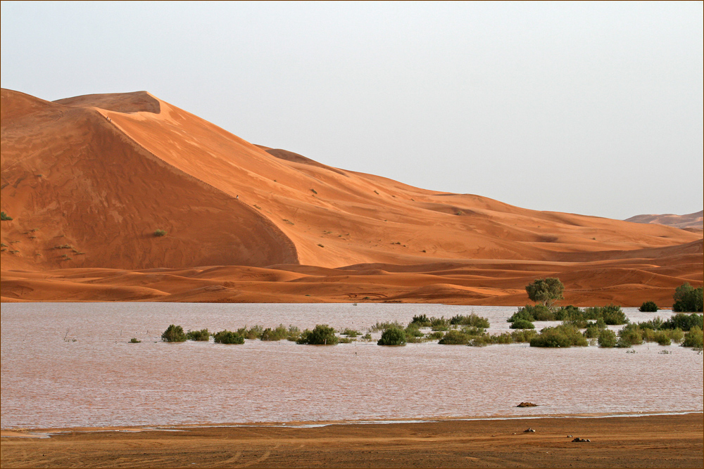 Dünen mit See