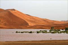 Dünen mit See