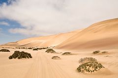 Dünen nahe bei Swakobmund Namibia