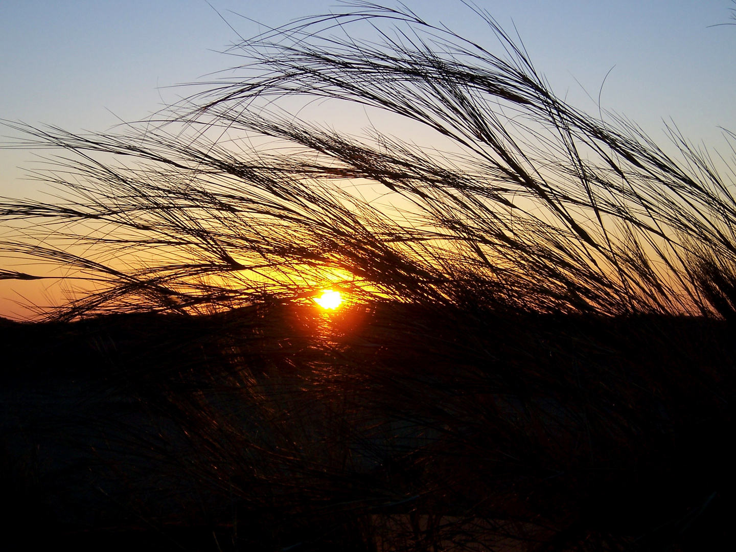 Dünen Namibia