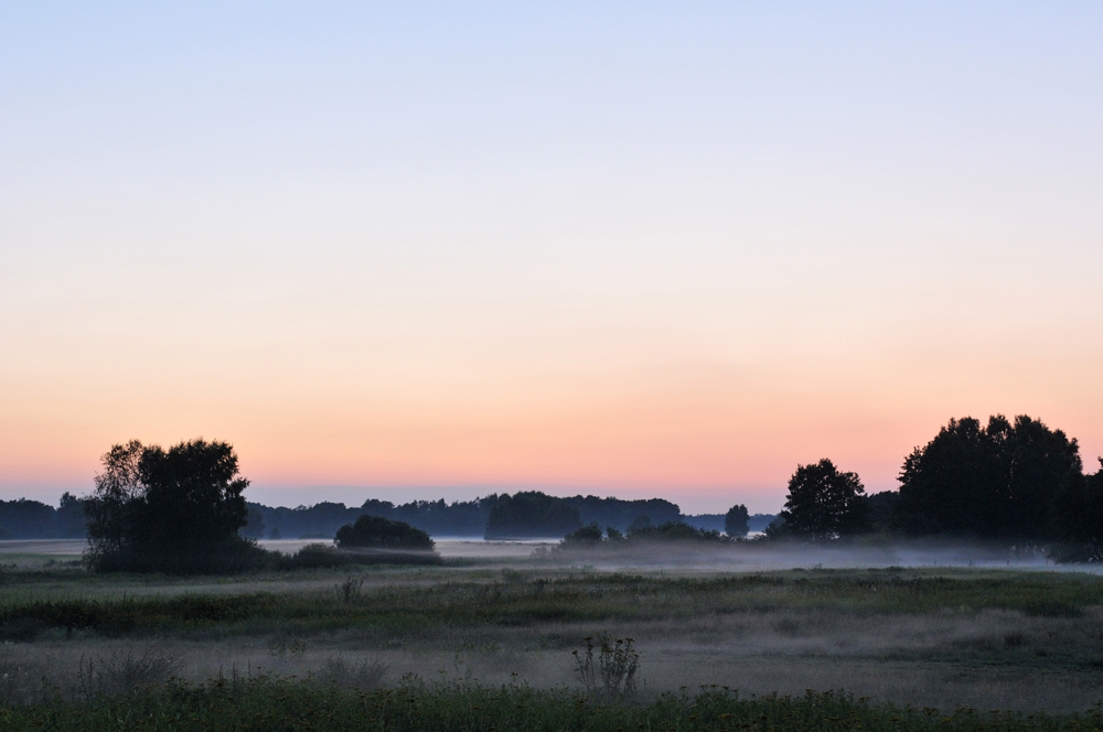 Dünen - Nebel