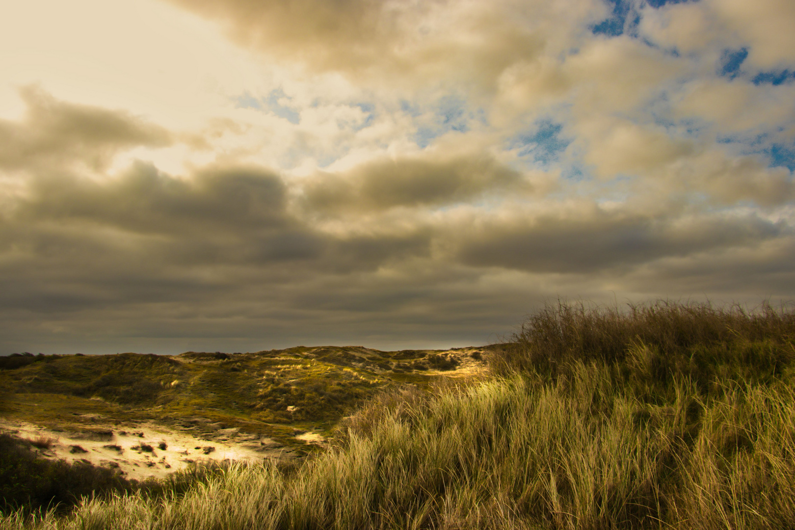 Dünen Noordwijk 2019