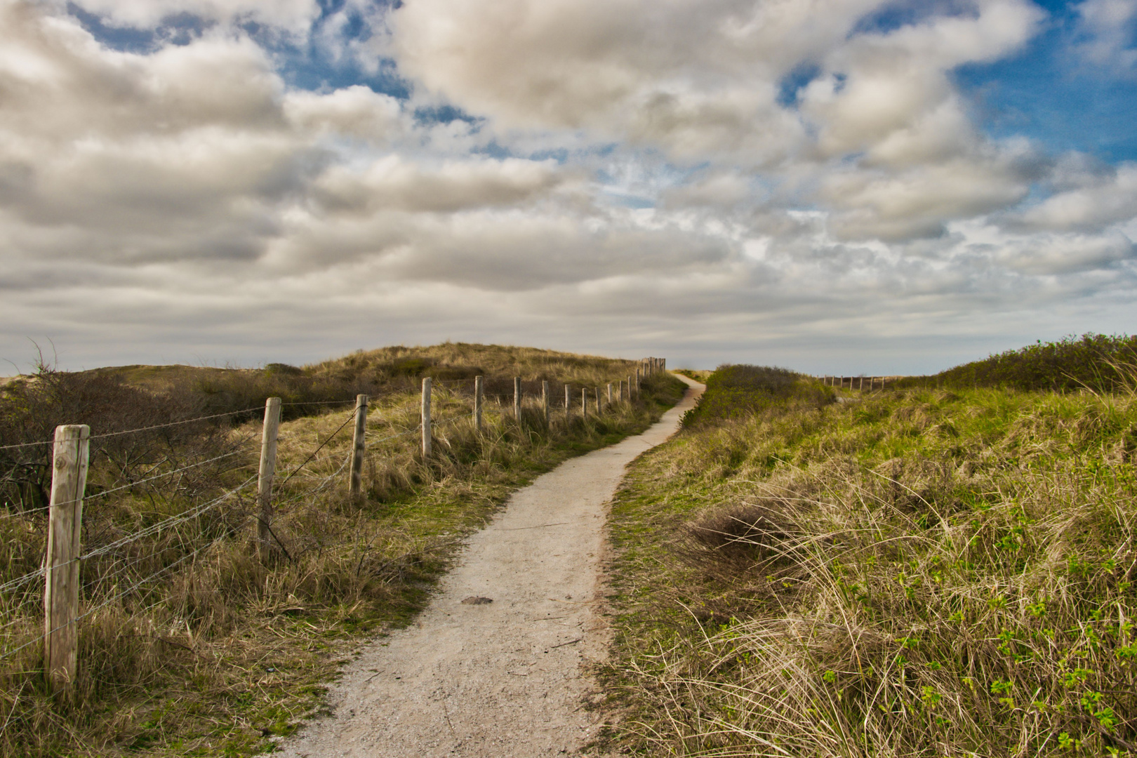 Dünen Noordwijk 2019 I