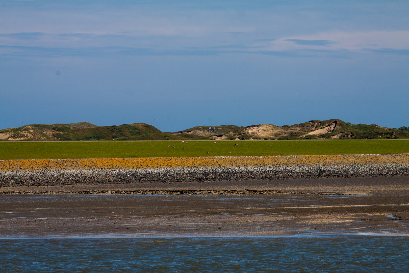 Dünen Norderney