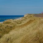 Dünen oberhalb der auslaufenden Steilküste zwischen Bovbjerg und Trans