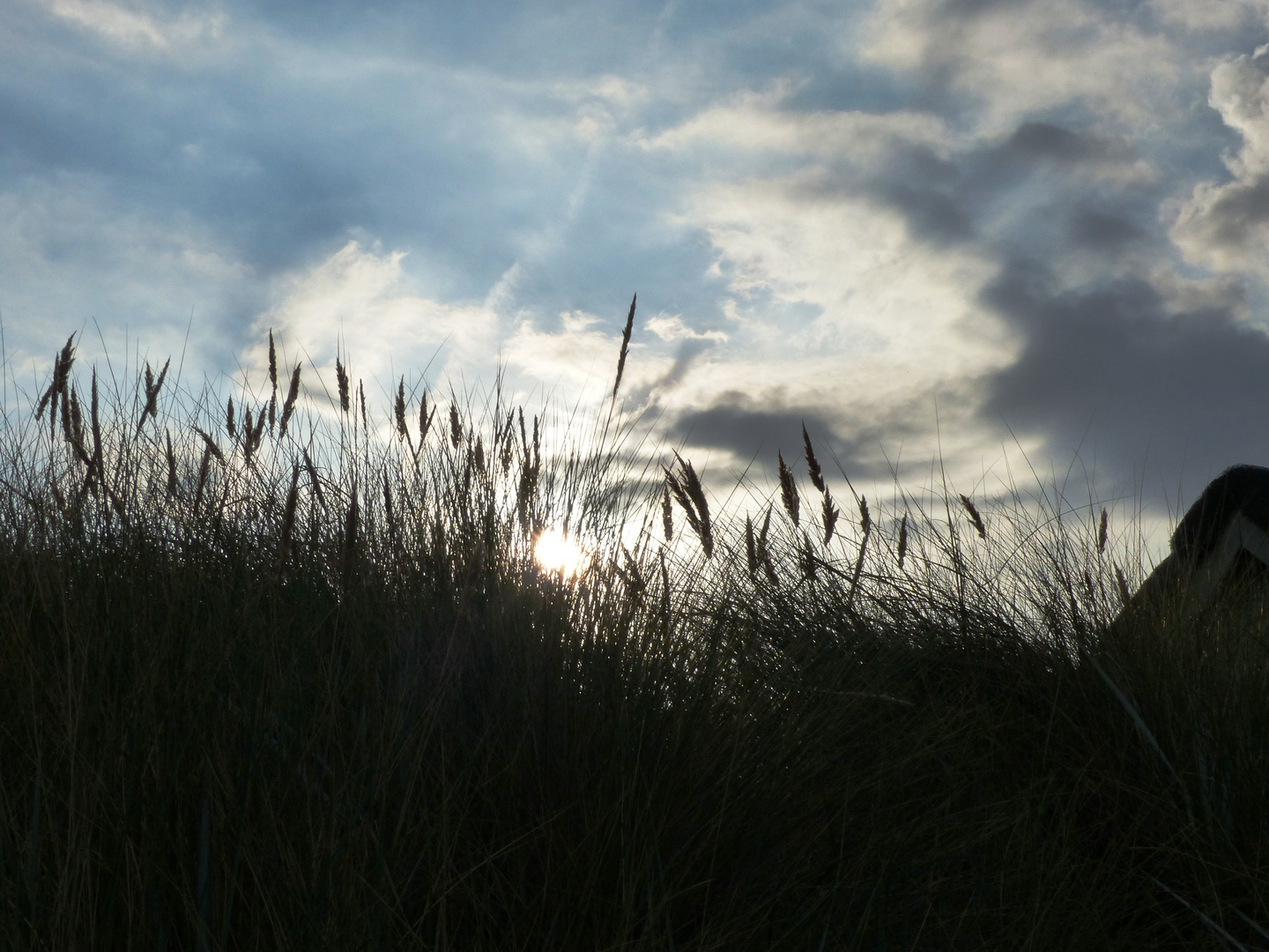 Dünen Ostsee