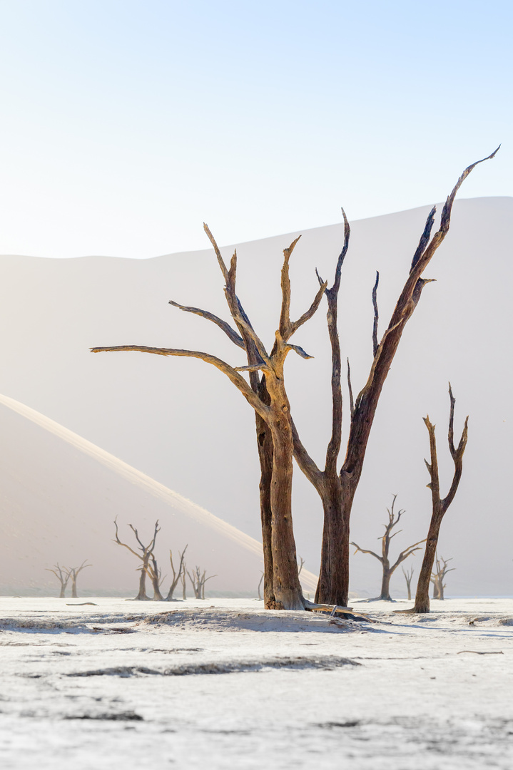 Dünen Sossousvlei Namibia
