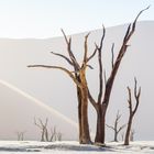 Dünen Sossousvlei Namibia