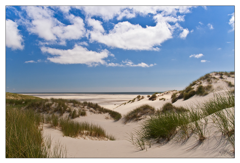 Dünen & Strand auf Amrum