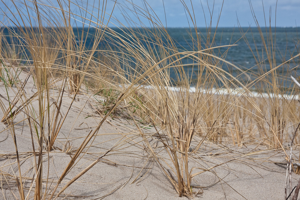 Dünen & Strand bei Wenningstedt auf Sylt