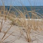 Dünen & Strand bei Wenningstedt auf Sylt