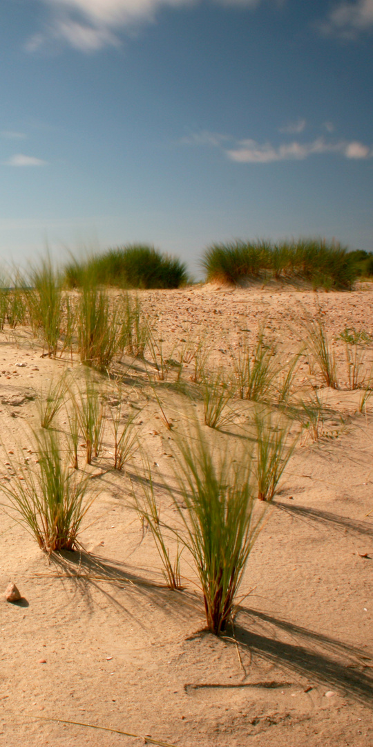 Dünen Strand Föhr