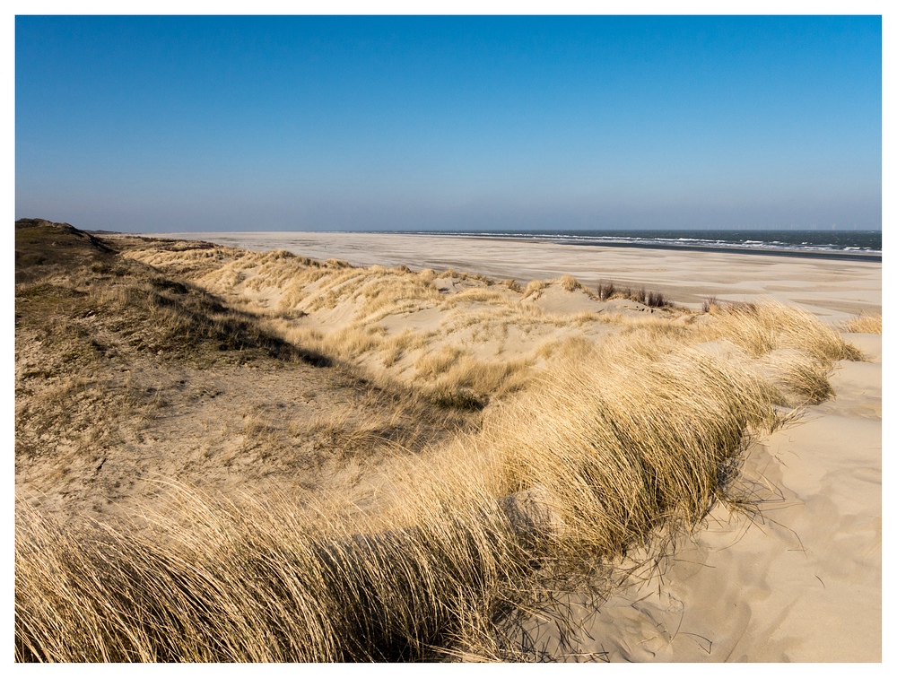 Dünen, Strand und Meer