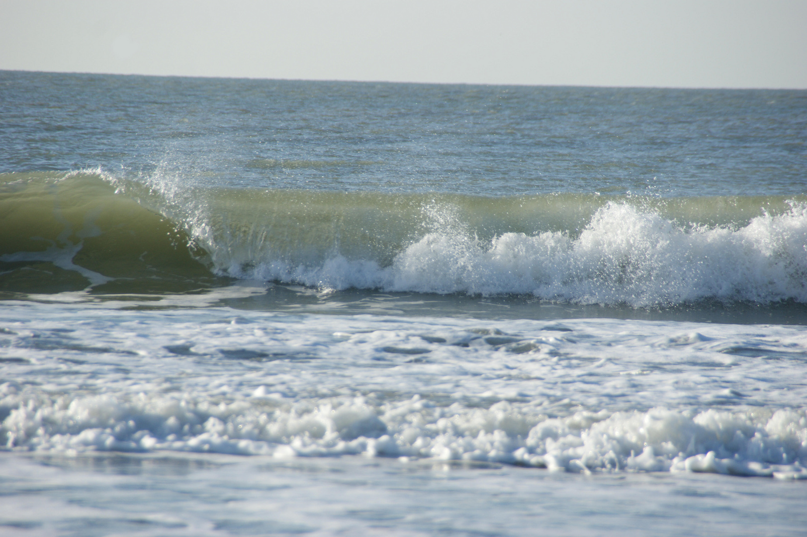 Dünen-Strandspaziergang im Januar in Zeeland NL Bild 3