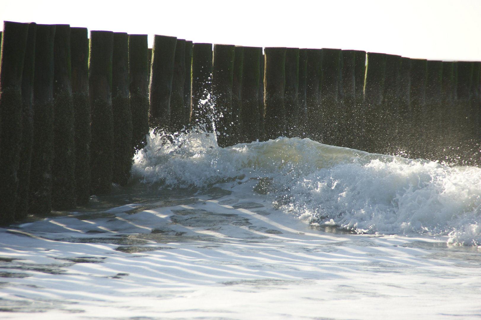 Dünen-Strandspaziergang im Januar in Zeeland NL Bild 4