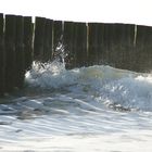 Dünen-Strandspaziergang im Januar in Zeeland NL Bild 4