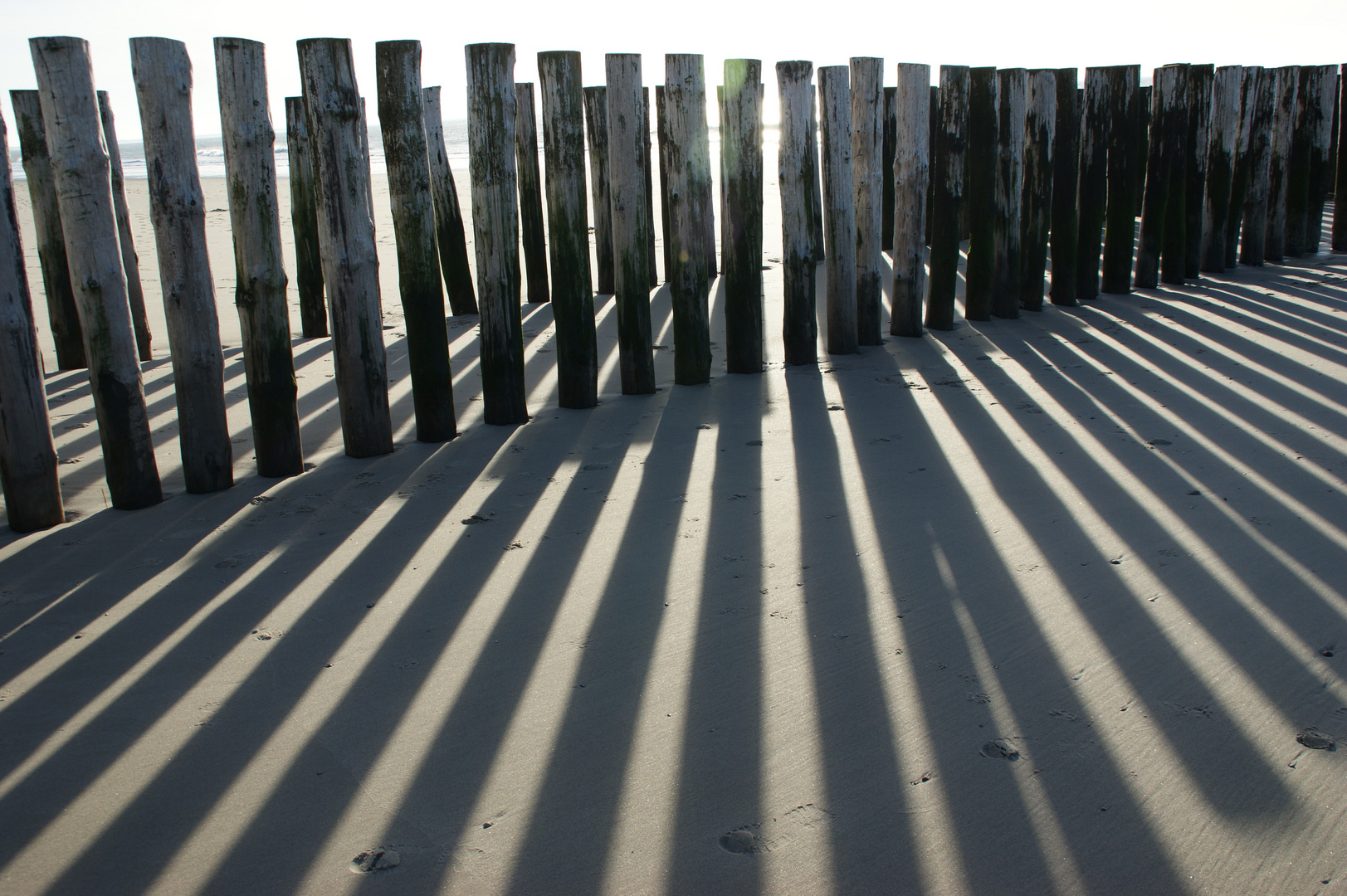 Dünen-Strandspaziergang im Januar in Zeeland NL Bild 5