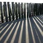 Dünen-Strandspaziergang im Januar in Zeeland NL Bild 5