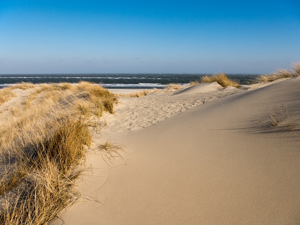 Dünen und Meer