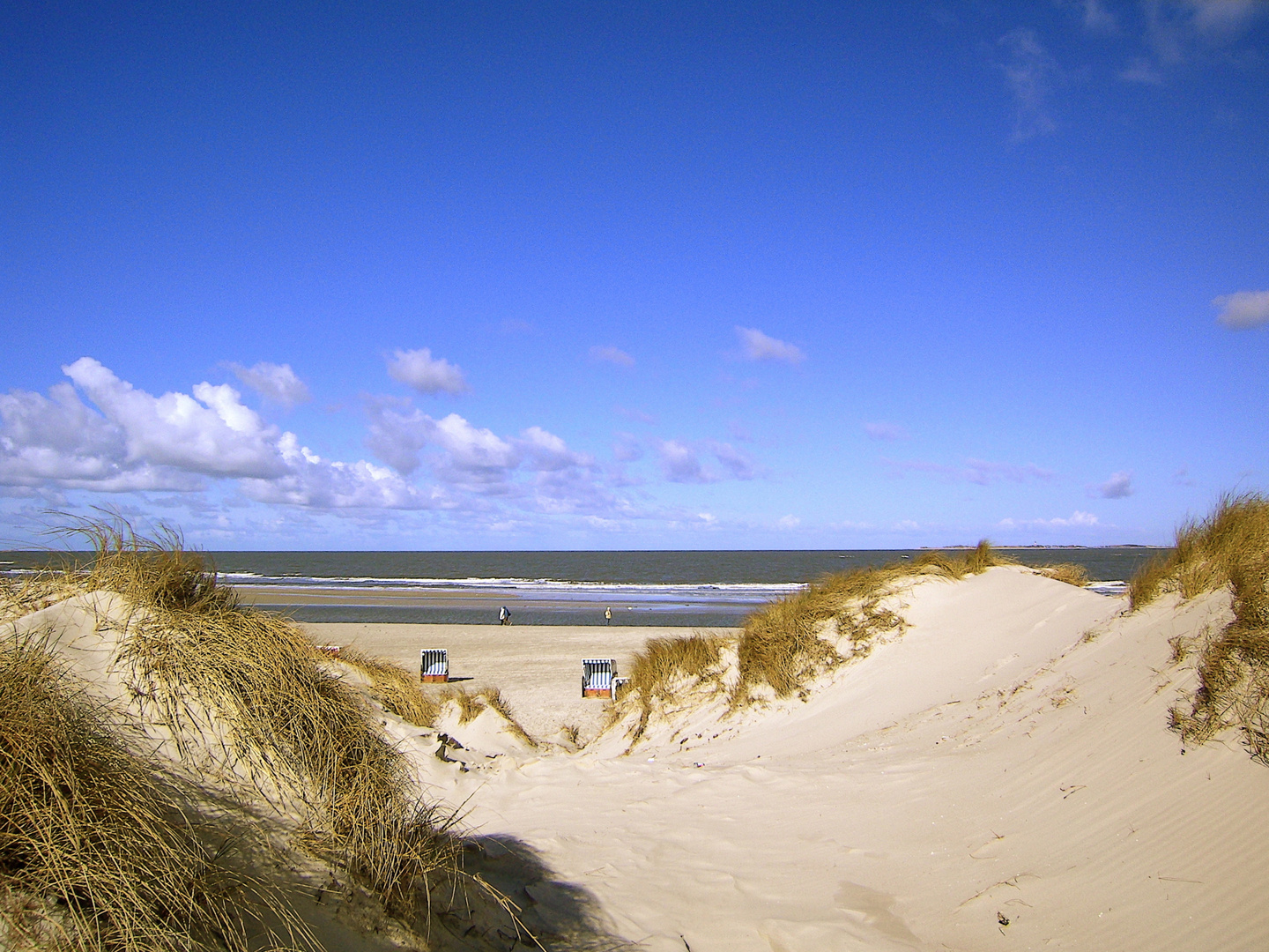 Dünen und Meer