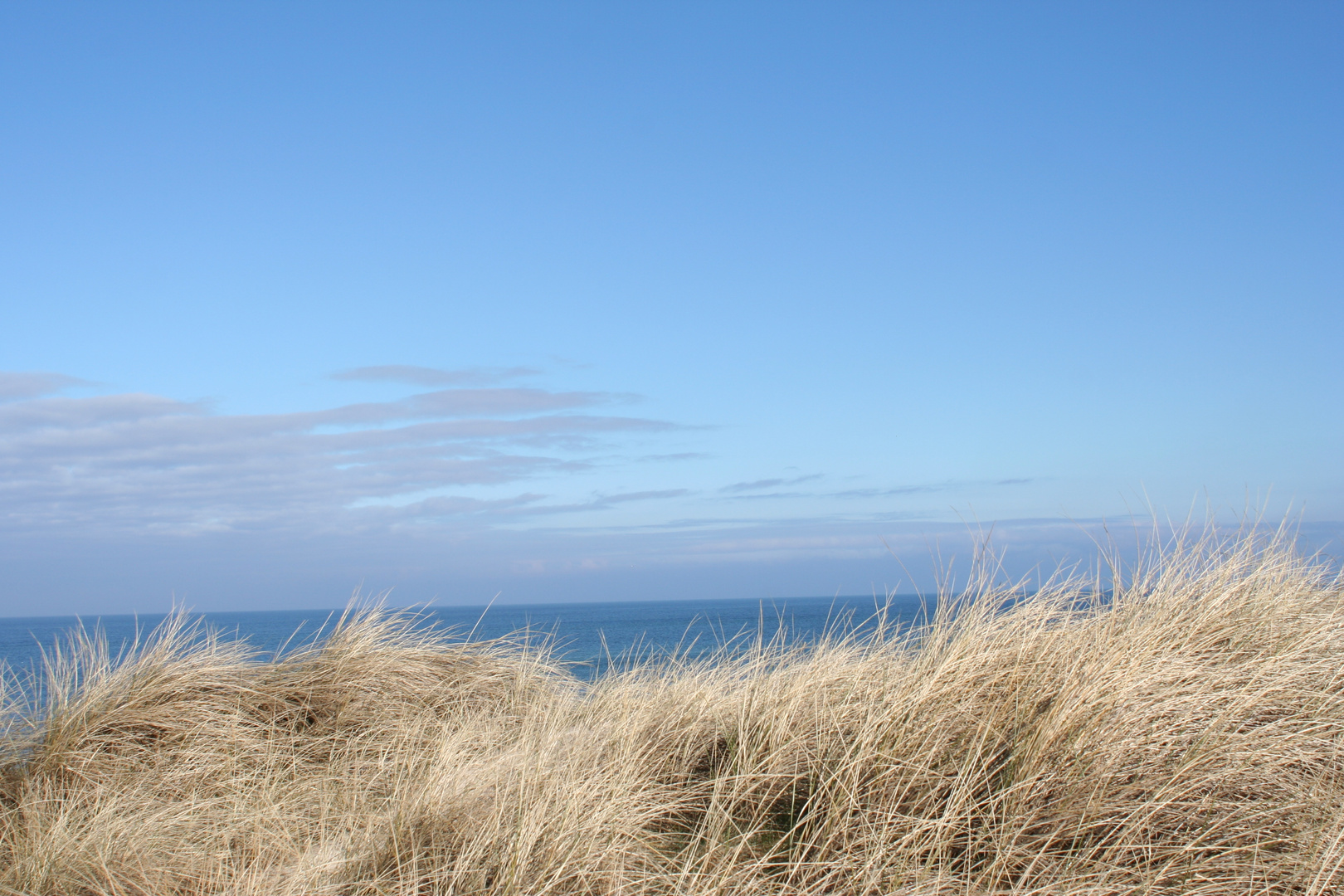 Dünen und Meer