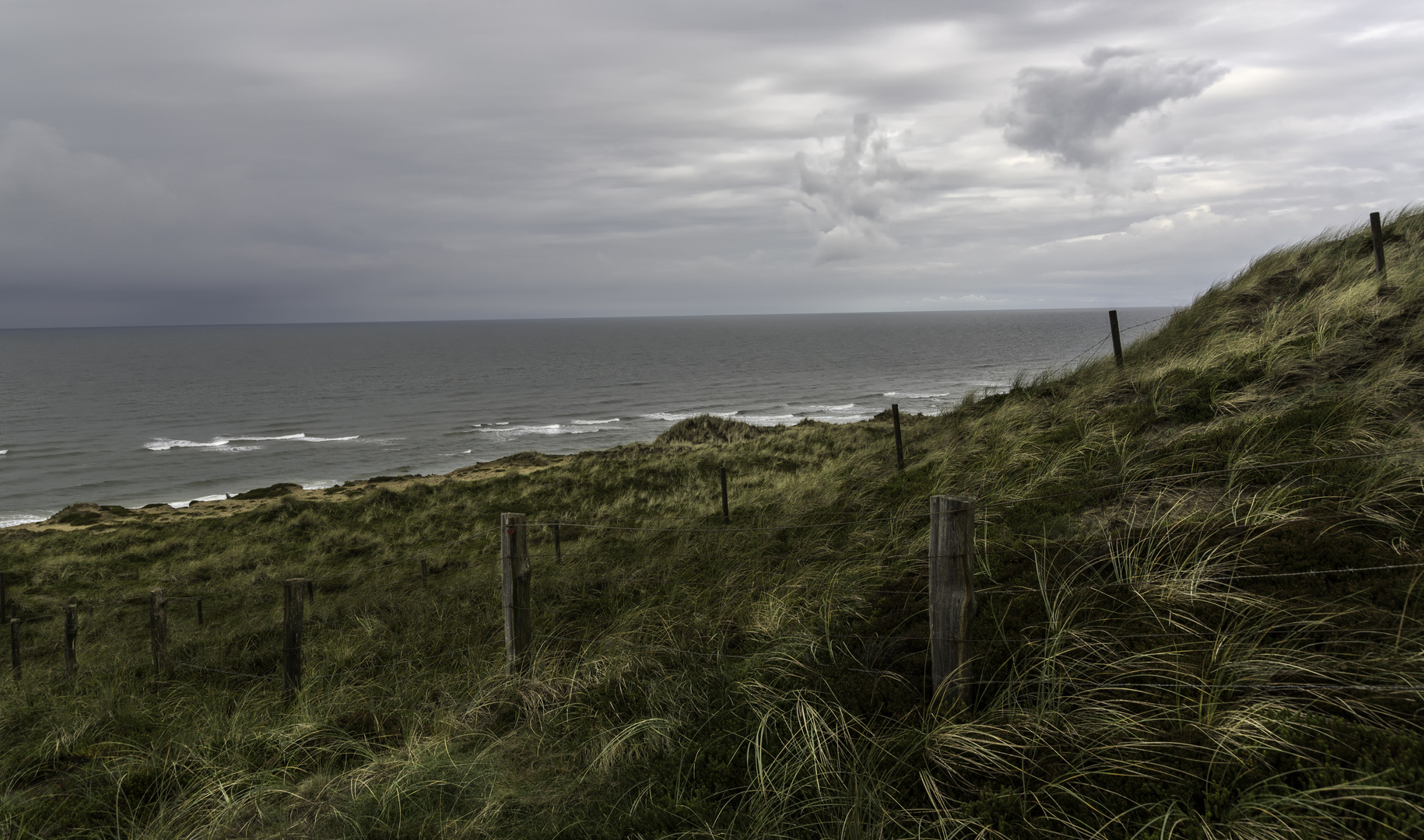 Dünen und Meer