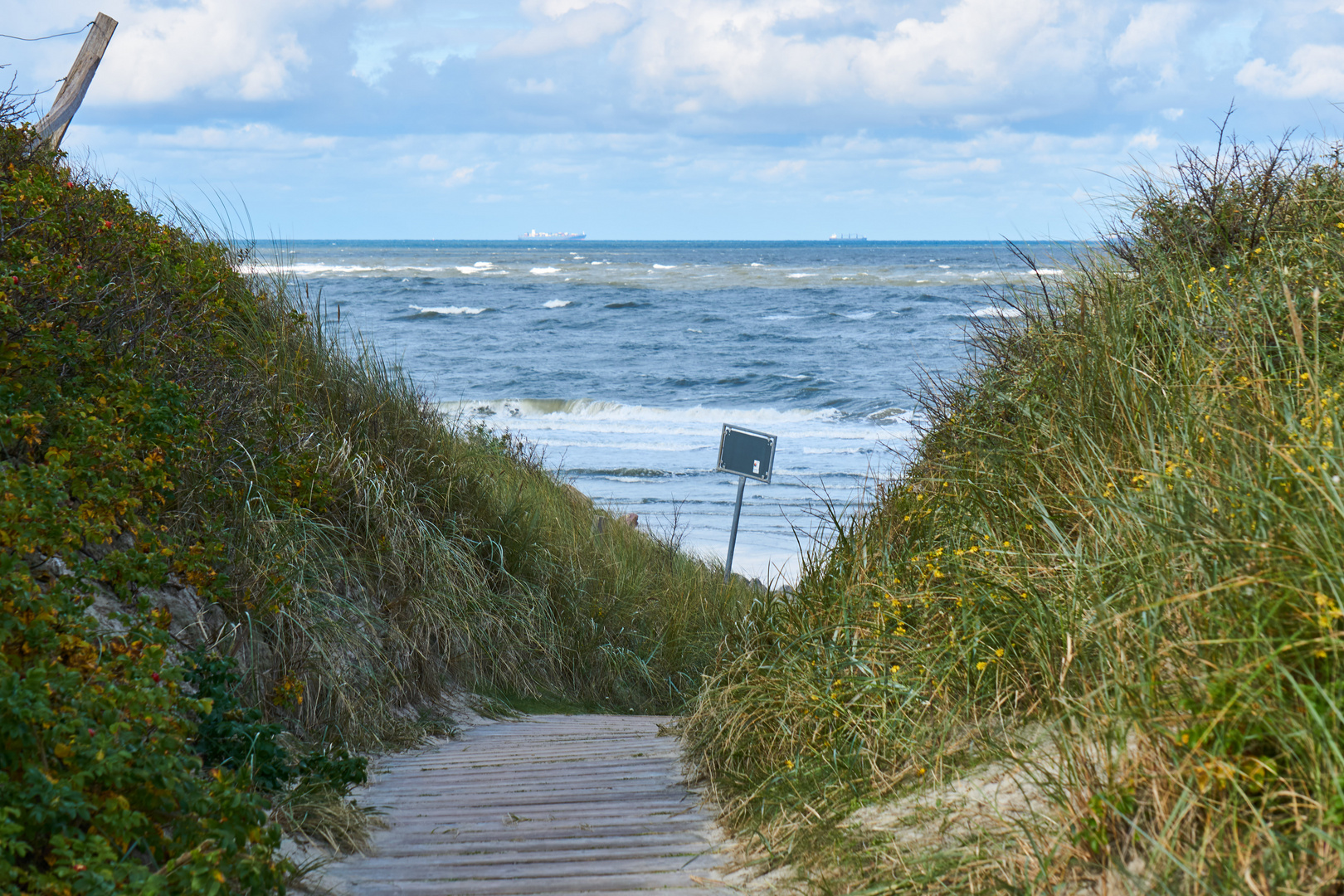 Dünen und Meer