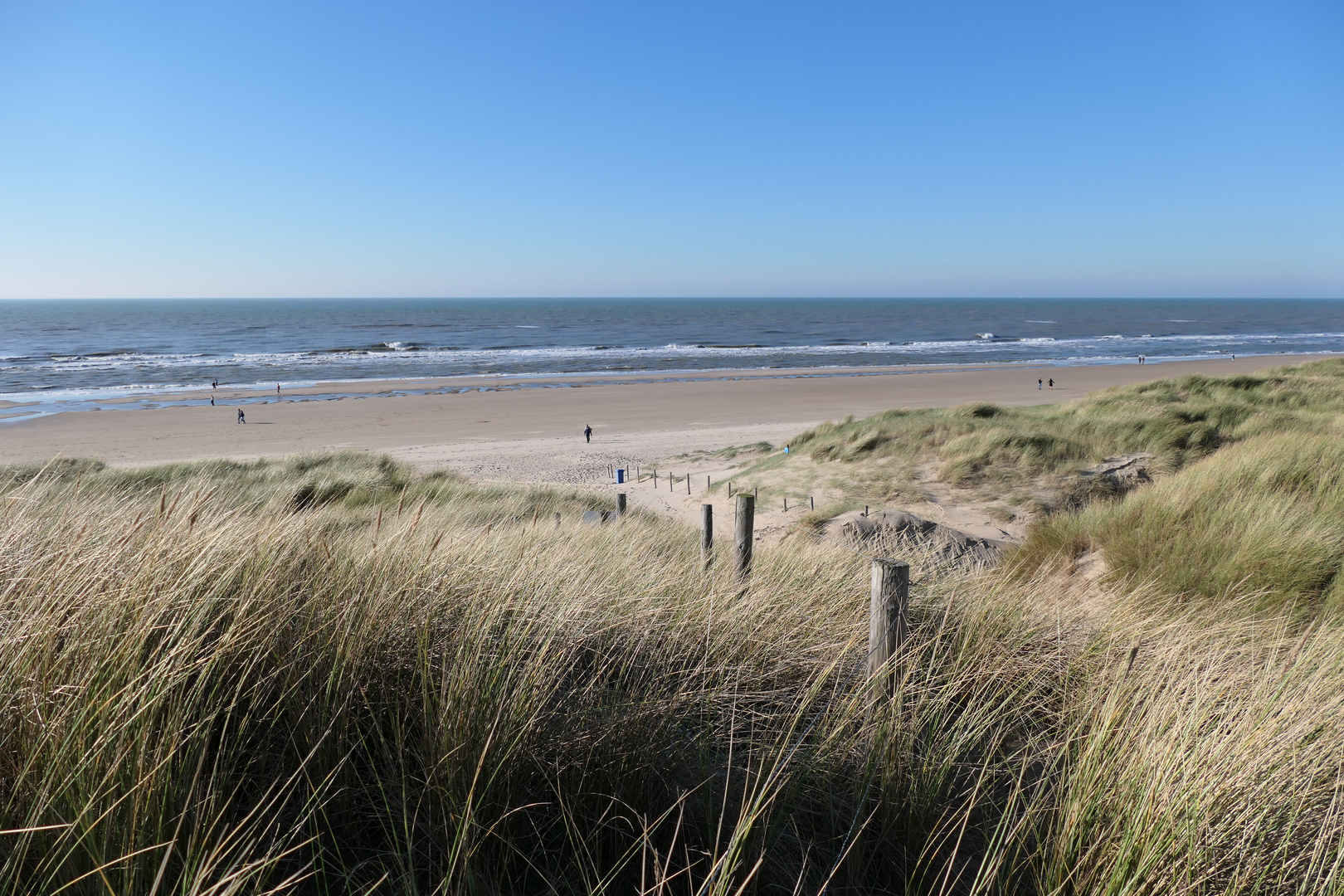 Dünen und Meer