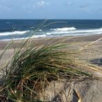 Dünen und Meer - was gibt es besseres?