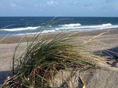 Dünen und Meer - was gibt es besseres?